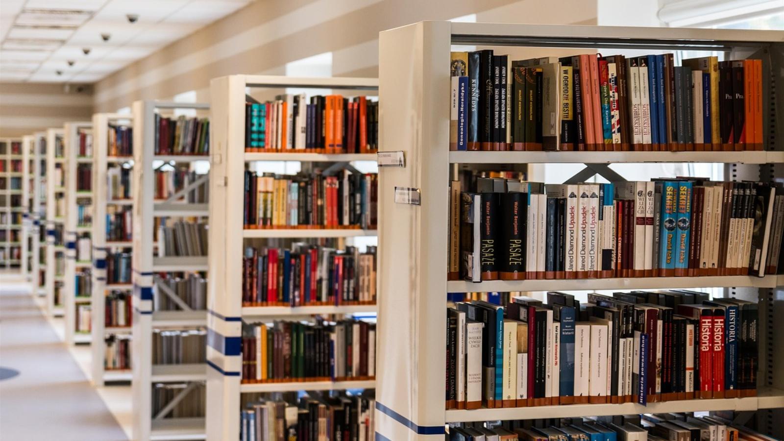 biblioteca scaffali 