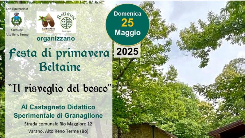 Il risveglio del bosco 