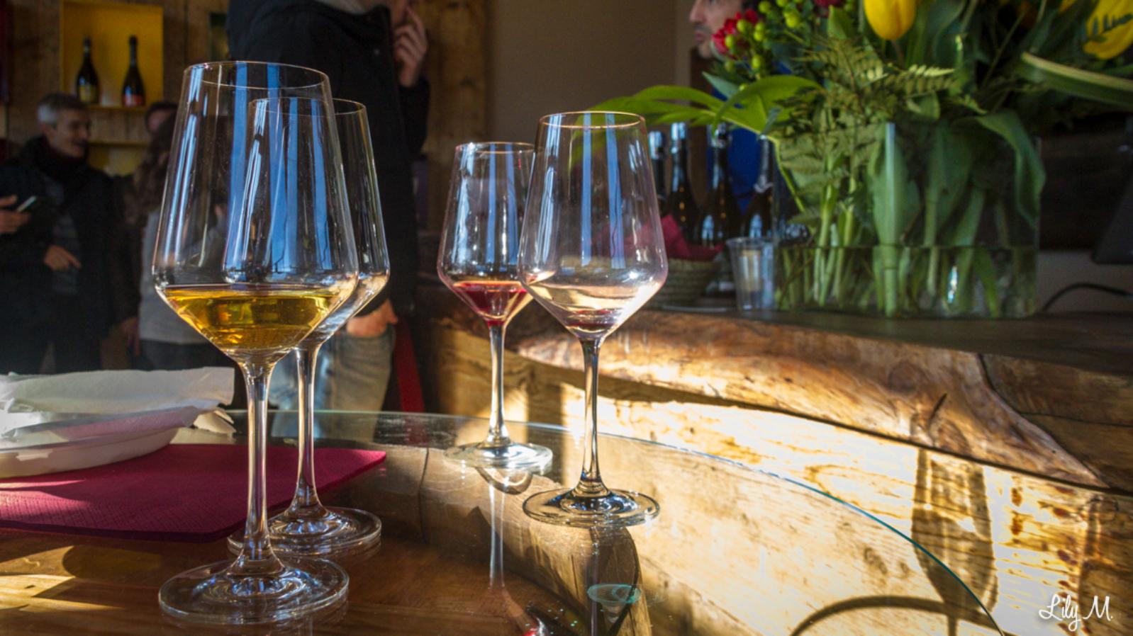 Speciale Bologna Wine Week: scopri i vigneti dei colli di Bologna 