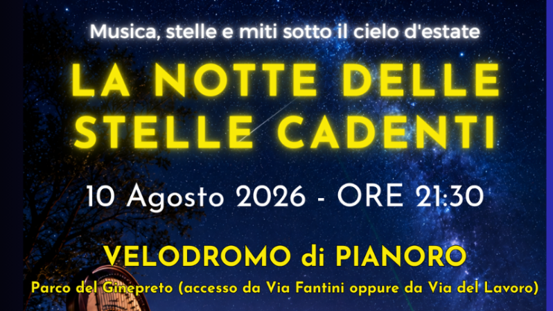 La notte delle stelle cadenti 