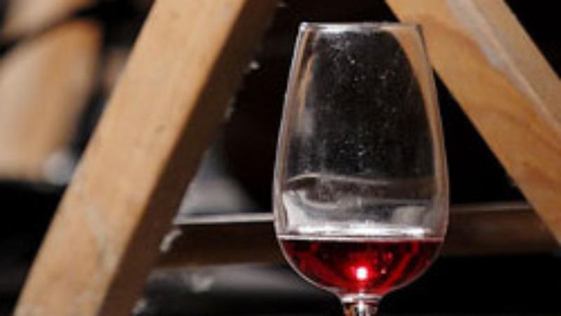 Colli Bolognesi Controlled Denomination of Origin wines