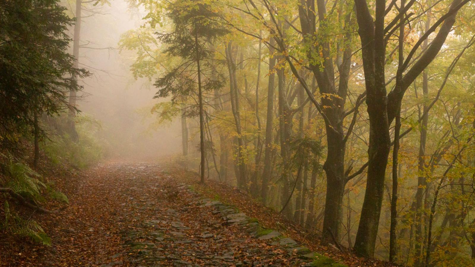 autunno in appennino bolognese6 © Giovanni Zati- strade montane 