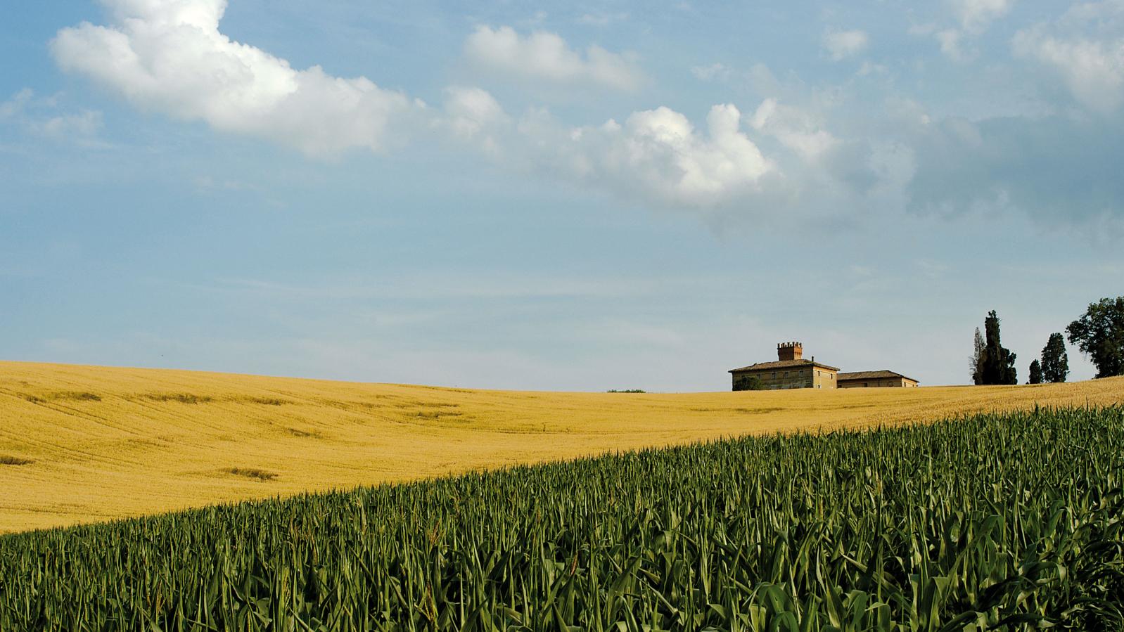 Crespellano Crespellano