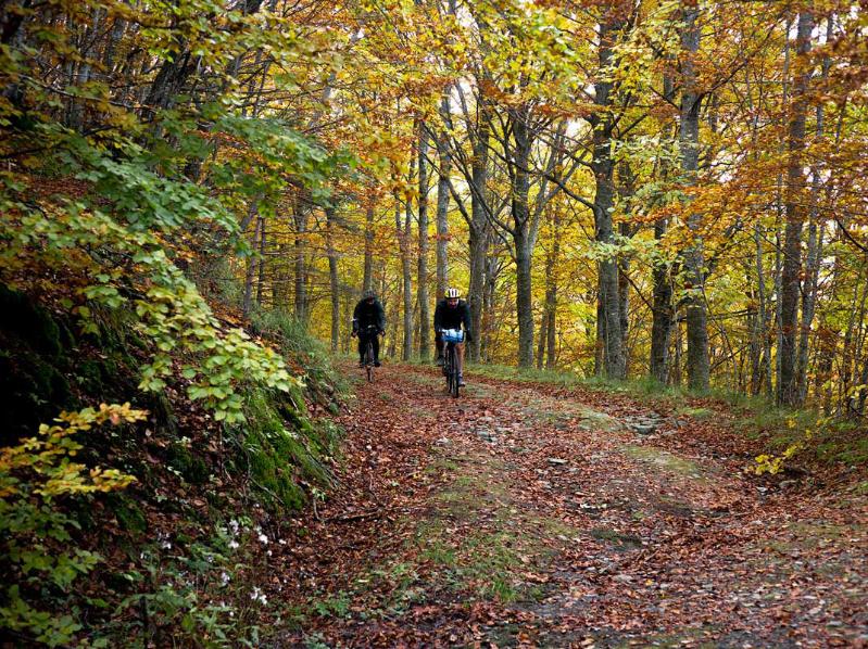 autunno in appennino bolognese2 © Giovanni Zati- strade montane 