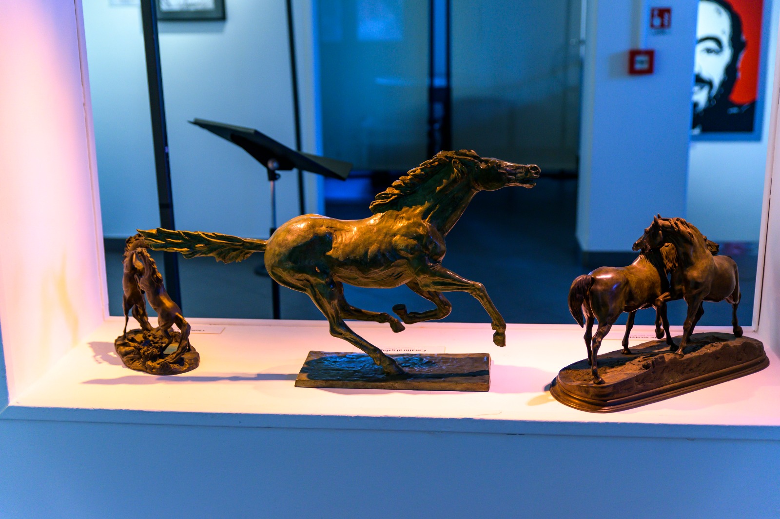 mostra pavarotti ©comune di Casalecchio 