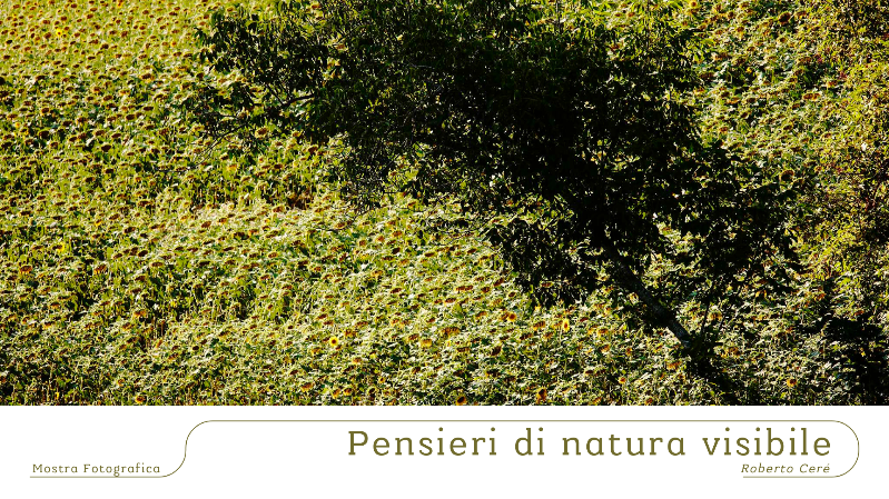 Pensieri di natura visibile 