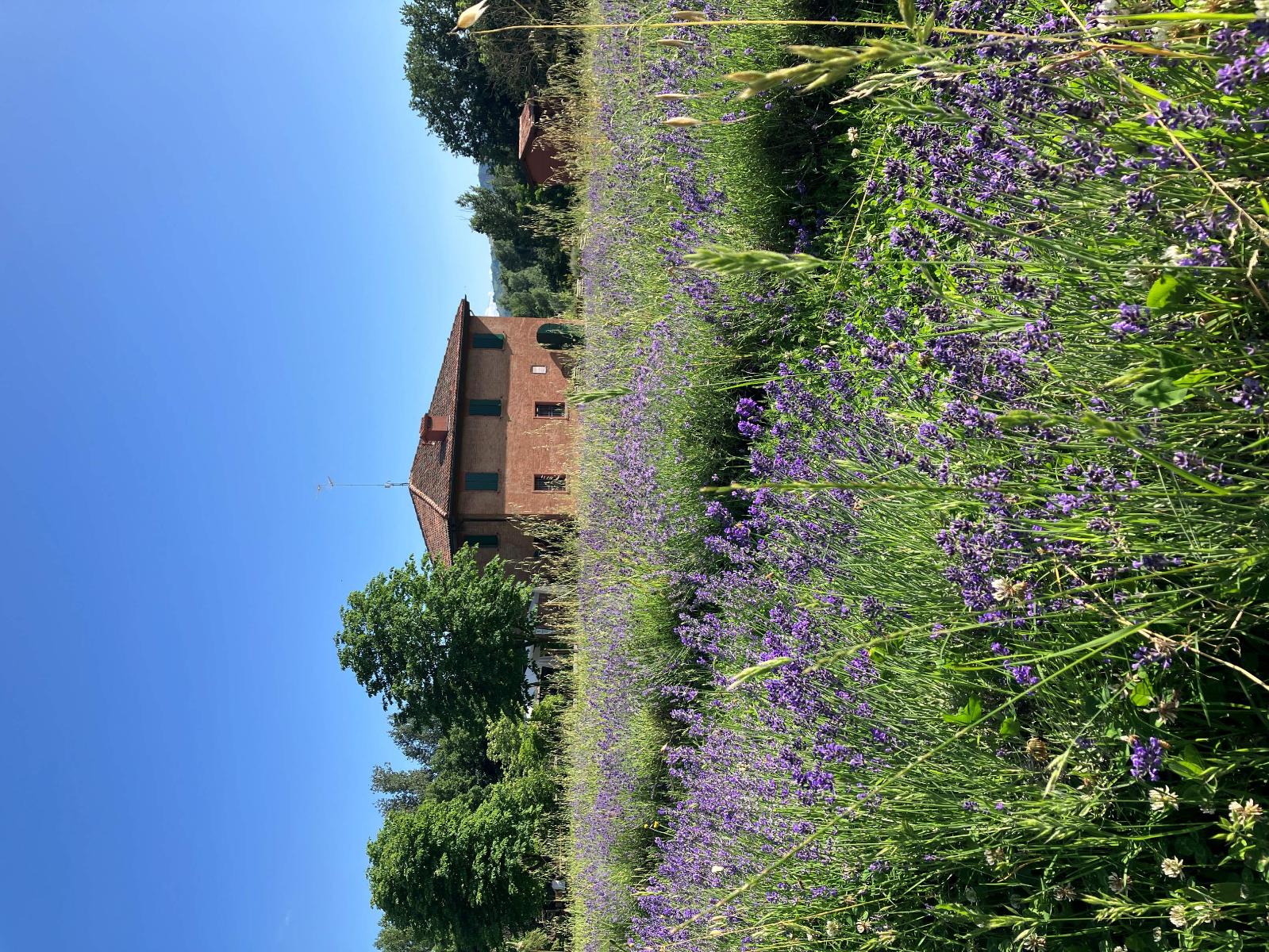 Agriturismo Parco della Chiusa