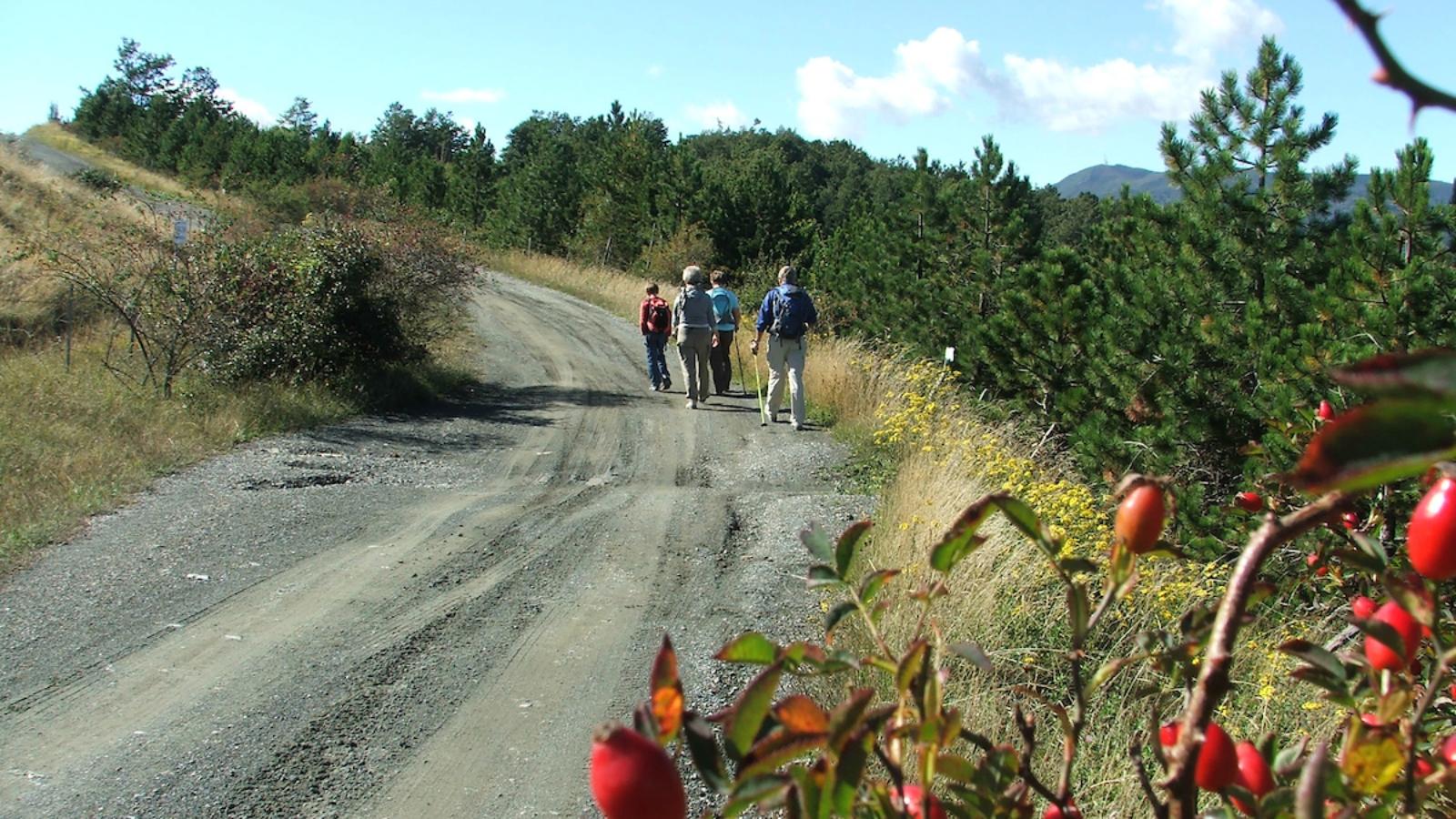 Una montagna di eventi! 