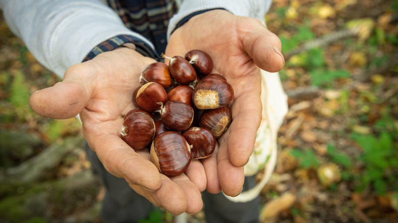 Sensazioni d'autunno 