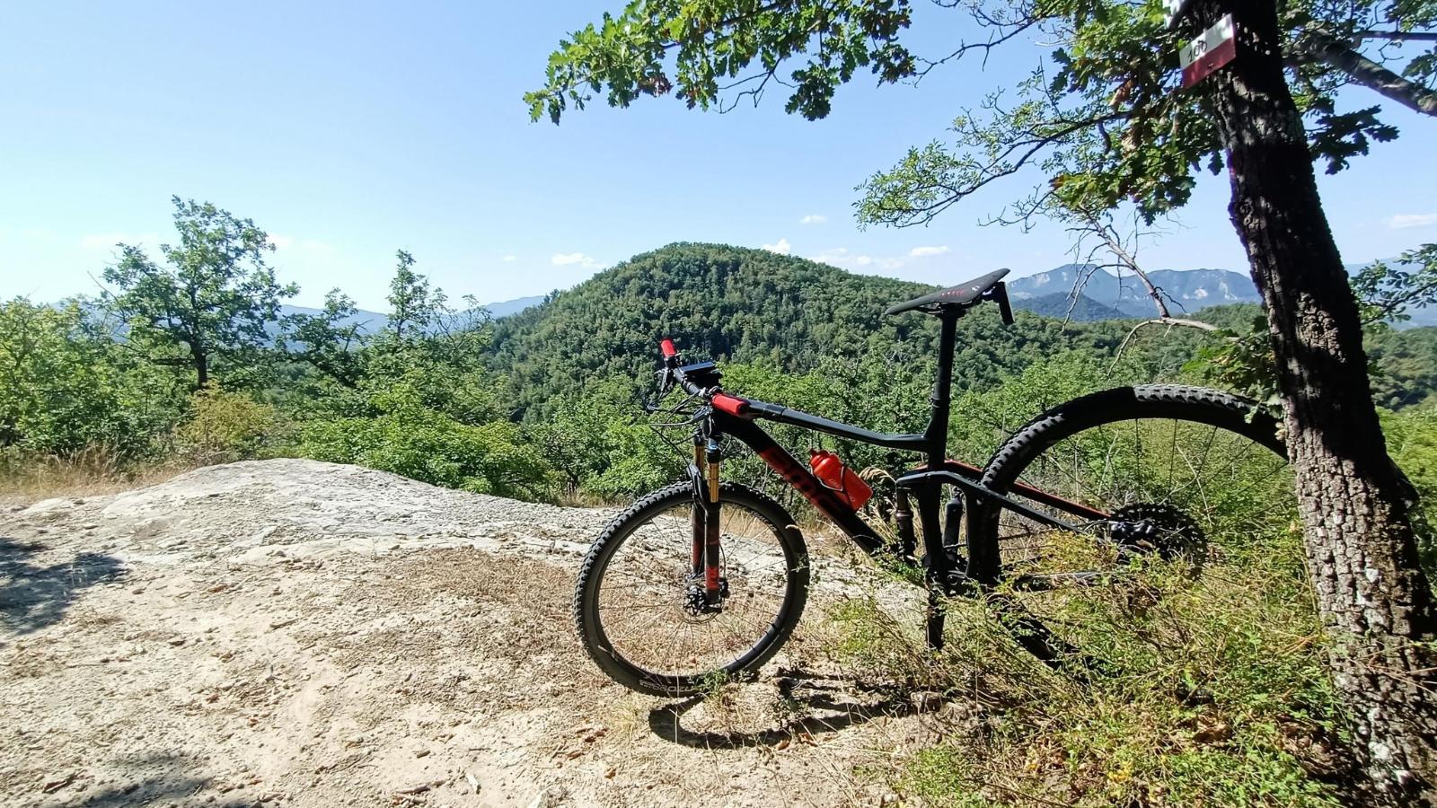 grizzana bike area © grizzana bike area 