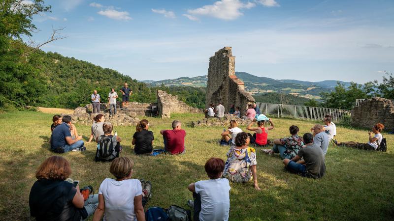 Lupo - Montesole resistente 