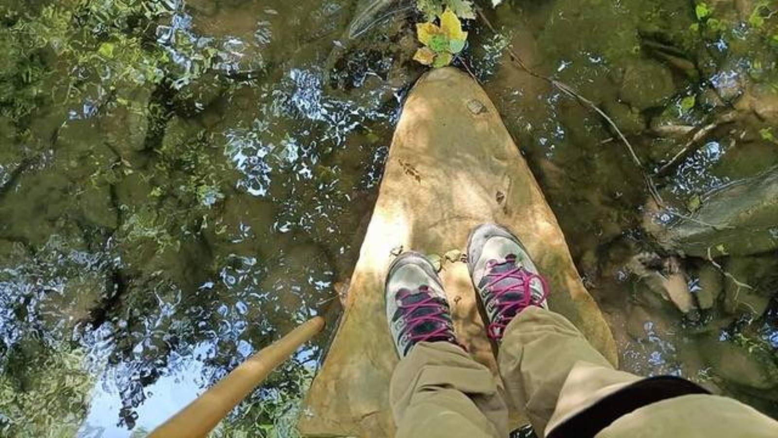 extrabimbi ©liliana medici 