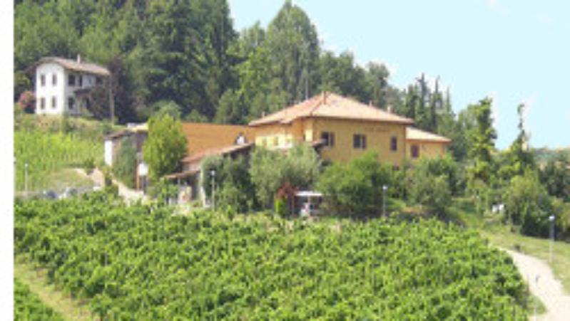 Controlled Denomination of Origin Colli Bolognesi wines