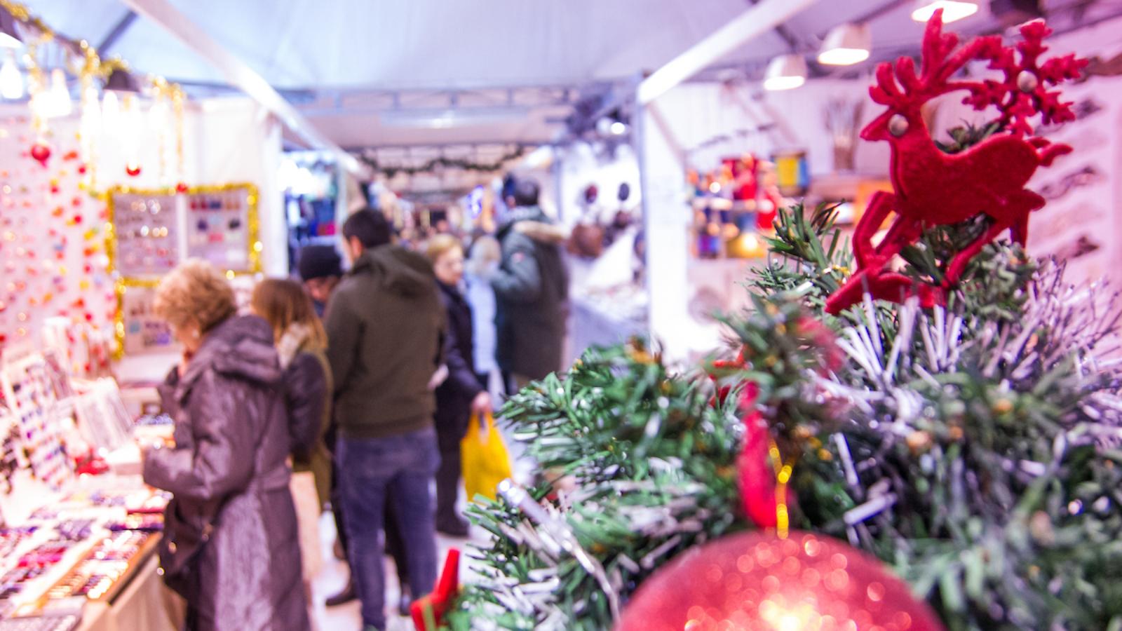 Natale_079 - Bologna_2019 - ©Pietrobondi.tif Copyright © Wildlab Multimedia per BW