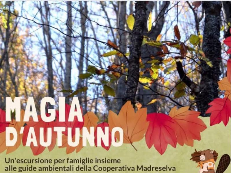 tartufesta lizzano madreselva 2026 