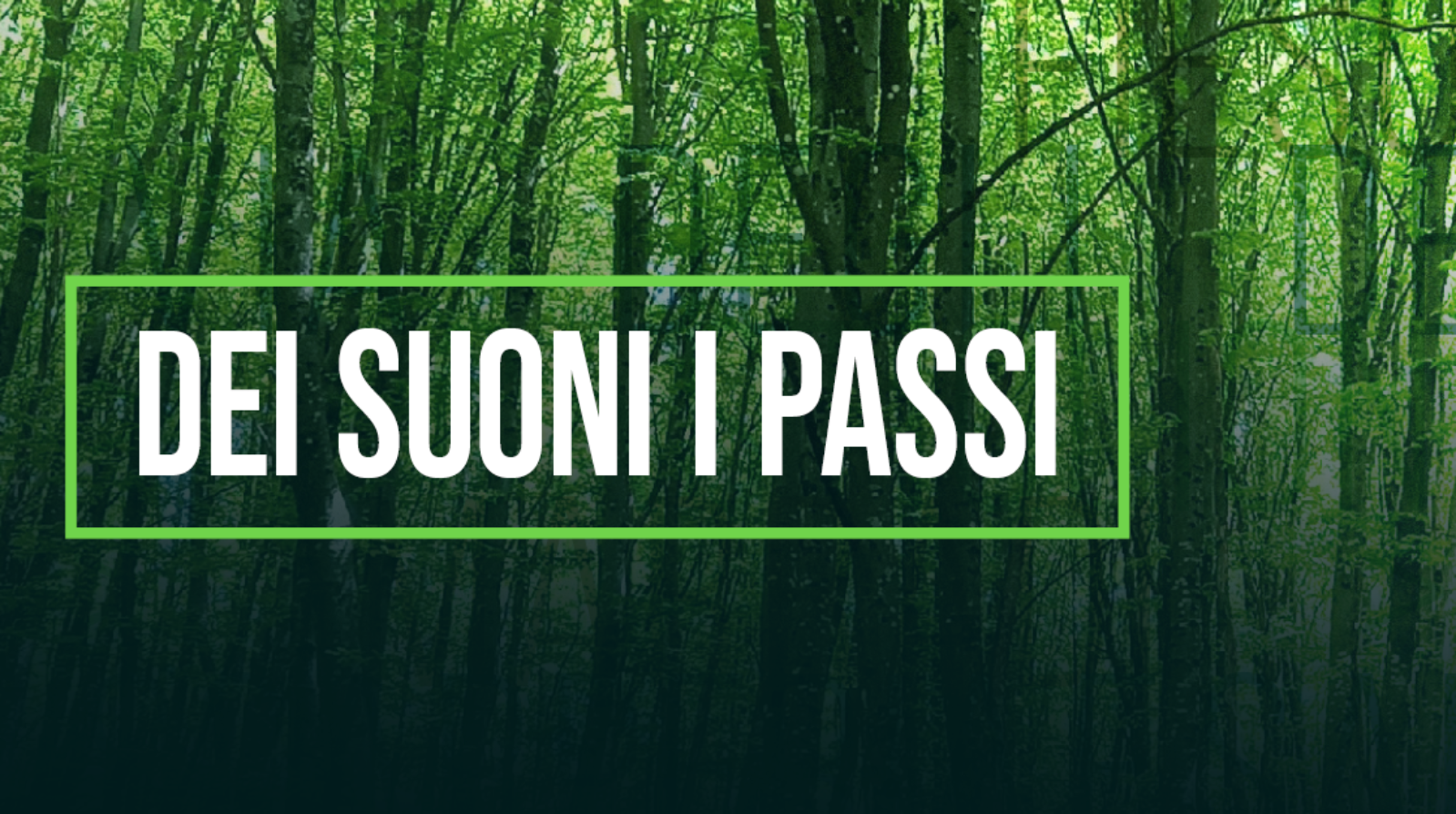 dei suoni i passi 