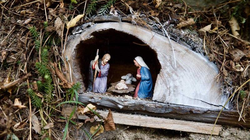 La pineta dei presepi 