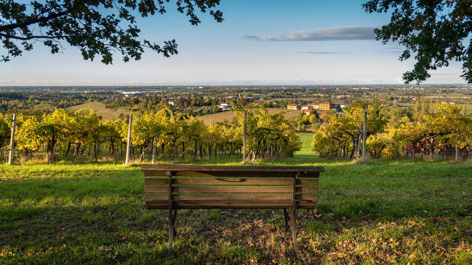 Zola Predosa - Aziende vinicole