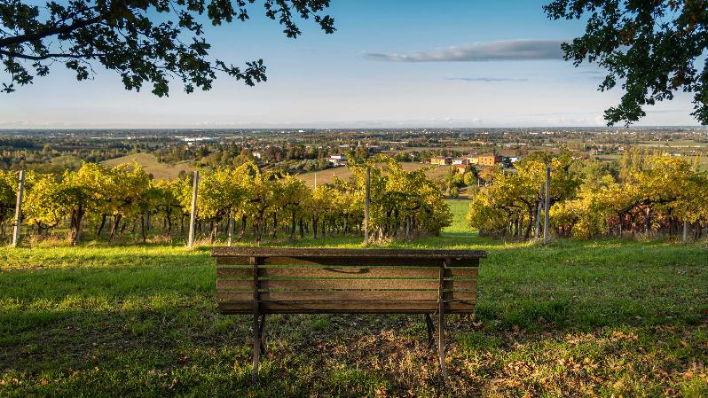 Mercati a Zola Predosa 